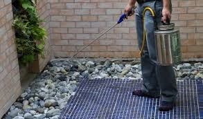 usluga ustraneniye zapakhov