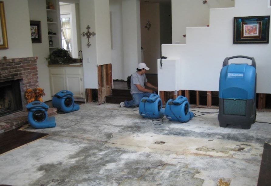 osushit' kvartiru posle potopa