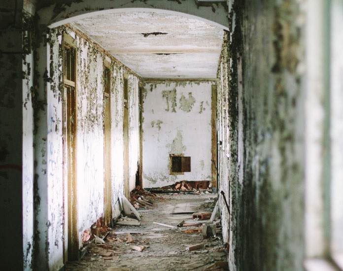 ubrat' gribok i plesen'